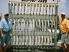 pair-a-dice-charter-grand-isle-trout-7